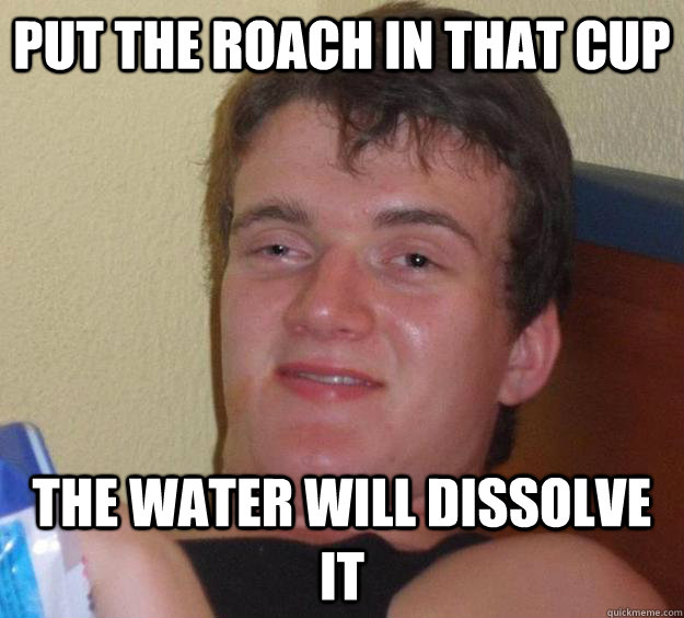 Put the roach in that cup the water will dissolve it - Put the roach in that cup the water will dissolve it  10 Guy