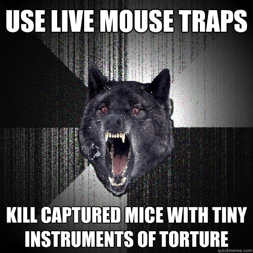 use live mouse traps kill captured mice with tiny instruments of torture  Insanity Wolf