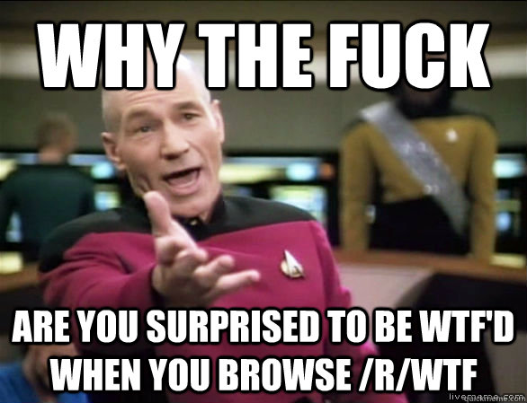 Why the fuck are you surprised to be wtf'd when you browse /r/wtf  - Why the fuck are you surprised to be wtf'd when you browse /r/wtf   Annoyed Picard HD