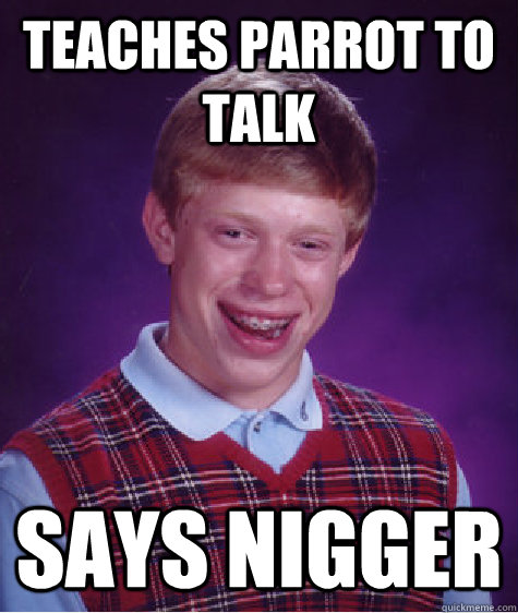 Teaches parrot to talk says nigger  Bad Luck Brian