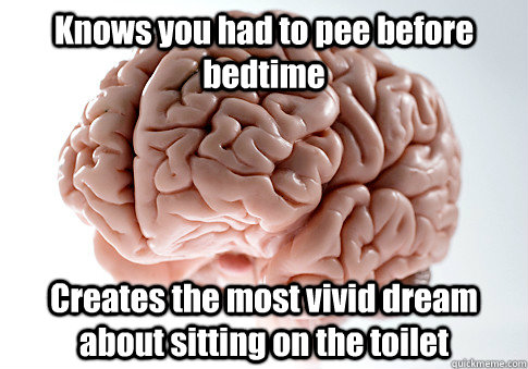 Knows you had to pee before bedtime Creates the most vivid dream about sitting on the toilet   Scumbag Brain