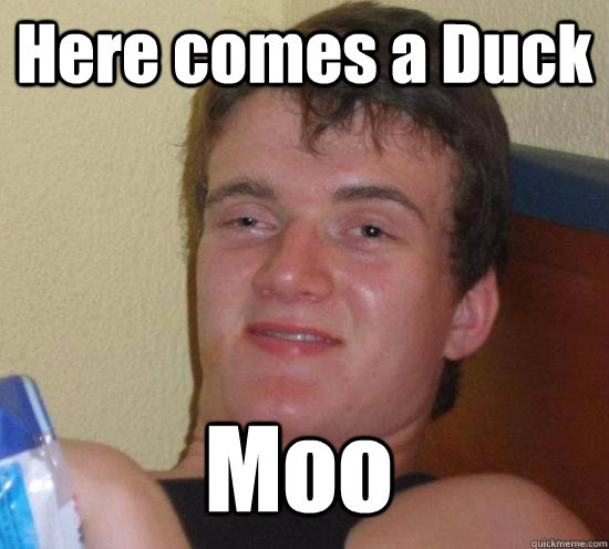 Here comes a Duck Moo - Here comes a Duck Moo  10 Guy