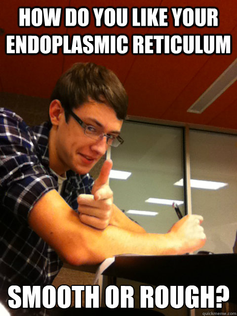 how do you like your endoplasmic reticulum smooth or rough? - how do you like your endoplasmic reticulum smooth or rough?  Lady Killer Andrew