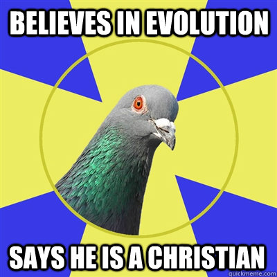 Believes in evolution says he is a christian - Believes in evolution says he is a christian  Religion Pigeon