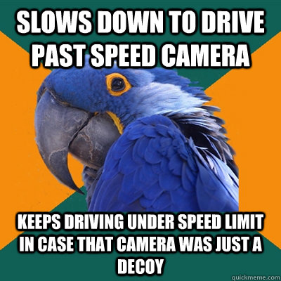 slows down to drive past speed camera keeps driving under speed limit in case that camera was just a decoy - slows down to drive past speed camera keeps driving under speed limit in case that camera was just a decoy  Paranoid Parrot