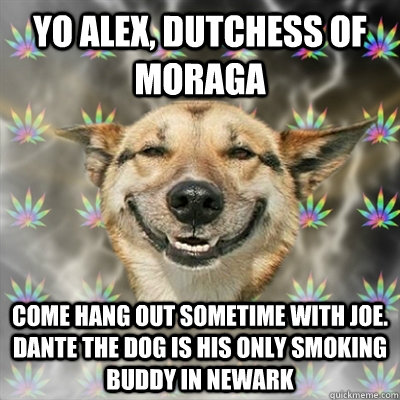 yo alex, dutchess of moraga come hang out sometime with joe. dante the dog is his only smoking buddy in newark  Stoner Dog