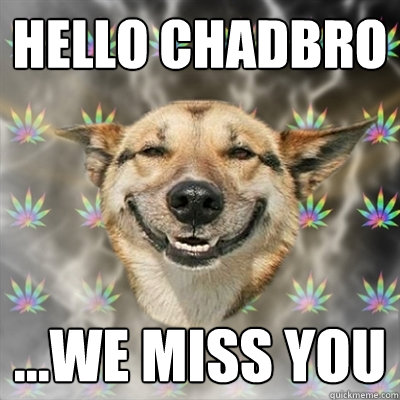 HELLO CHADBRO ...WE MISS YOU  Stoner Dog