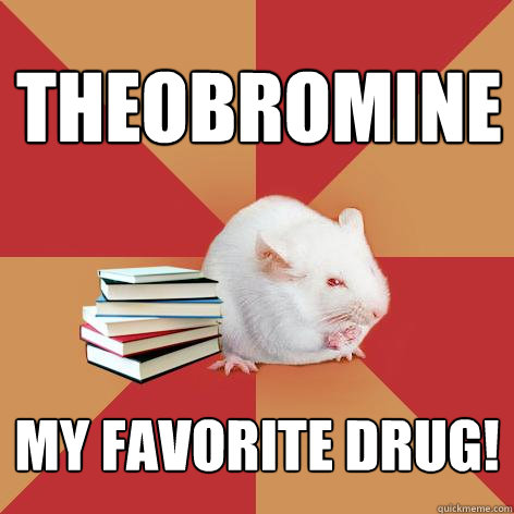 THEOBROMINE My favorite drug! - THEOBROMINE My favorite drug!  Science Major Mouse