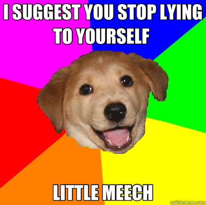 I SUGGEST YOU STOP LYING TO YOURSELF  LITTLE MEECH  Advice Dog