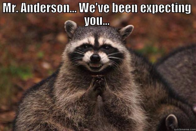 MR. ANDERSON... WE'VE BEEN EXPECTING YOU...  Evil Plotting Raccoon