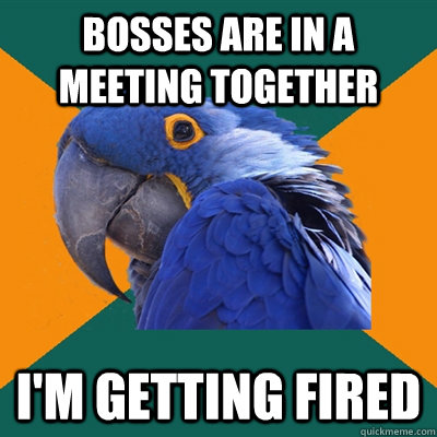 Bosses are in a meeting together i'm getting fired  Paranoid Parrot