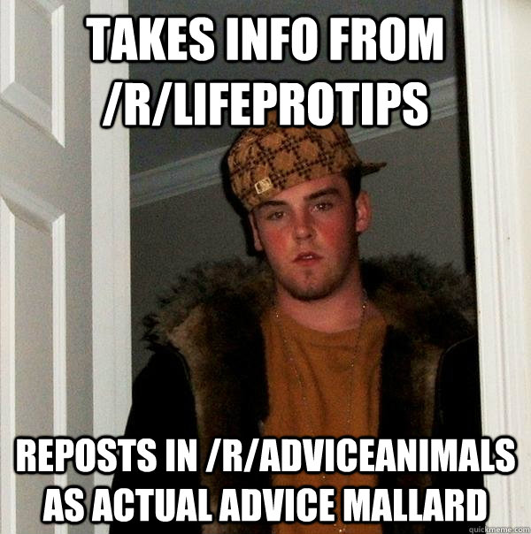 takes info from /r/lifeprotips reposts in /r/adviceanimals as actual advice mallard  Scumbag Steve