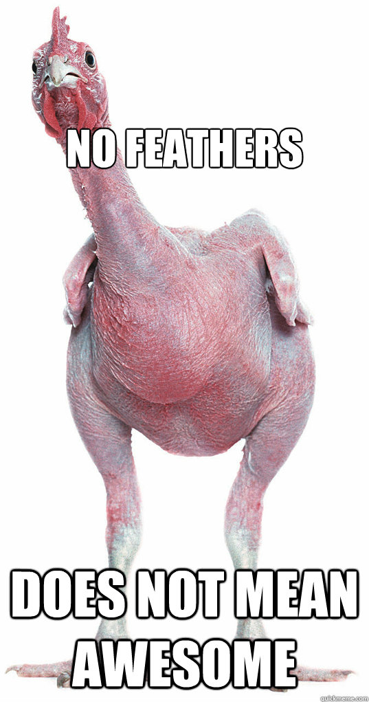 

No Feathers Does not mean awesome - 

No Feathers Does not mean awesome  Featherless Chicken