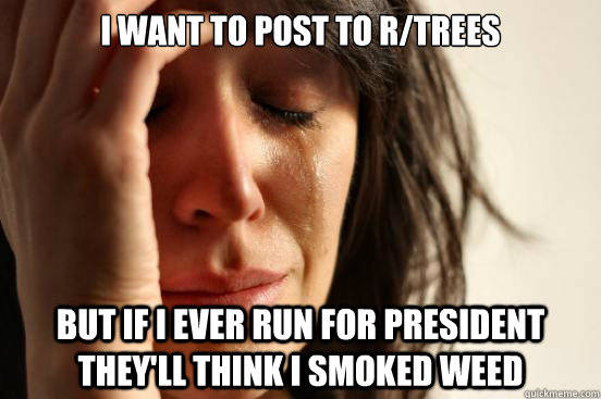 I want to post to r/trees But if I ever run for president they'll think I smoked weed  First World Problems