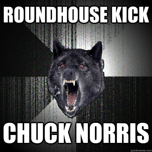 roundhouse kick chuck norris  Insanity Wolf