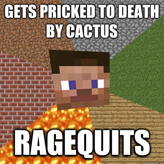 GETS PRICKED TO DEATH BY CACTUS RAGEQUITS  