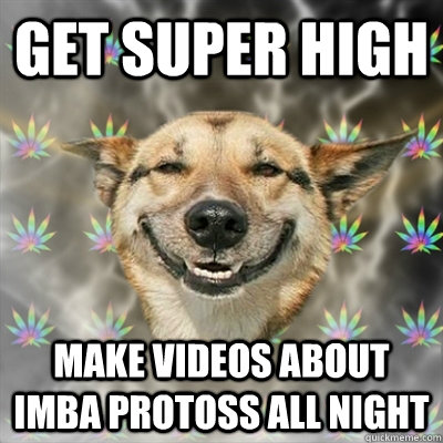 get super high Make videos about imba protoss all night  Stoner Dog