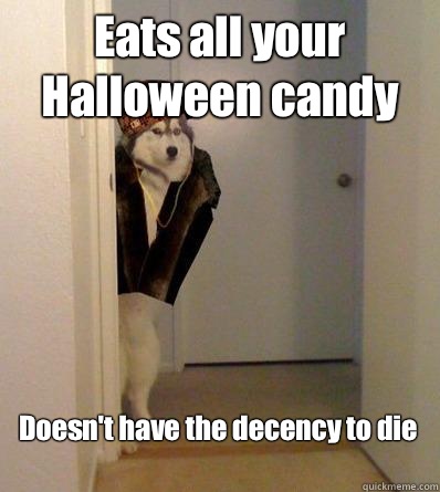 Eats all your Halloween candy Doesn't have the decency to die
  Scumbag dog