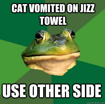 cat vomited on jizz towel use other side - cat vomited on jizz towel use other side  Foul Bachelor Frog