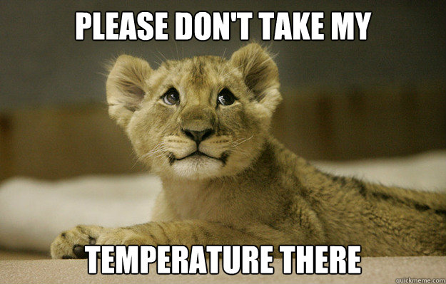 Please don't take my temperature there - Please don't take my temperature there  Scared Kitty