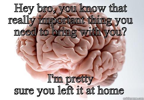 HEY BRO, YOU KNOW THAT REALLY IMPORTANT THING YOU NEED TO BRING WITH YOU? I'M PRETTY SURE YOU LEFT IT AT HOME  Scumbag Brain