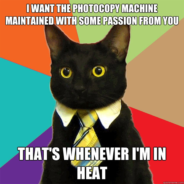 i want the photocopy machine maintained with some passion from you that's whenever i'm in heat  Business Cat