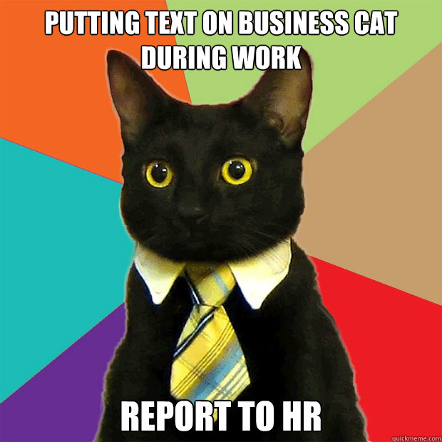 putting text on business cat
during work report to HR  Business Cat