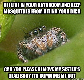 Hi i live in your bathroom and keep mosquitoes from biting your dick  can you please remove my sister's dead body its bumming me out - Hi i live in your bathroom and keep mosquitoes from biting your dick  can you please remove my sister's dead body its bumming me out  Misunderstood Spider