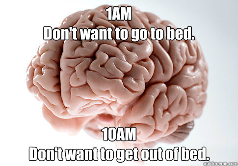 1AM
Don't want to go to bed. 10AM
Don't want to get out of bed.   Scumbag Brain