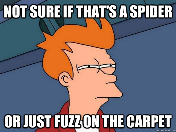 Not sure if that's a spider Or just fuzz on the carpet  Futurama Fry