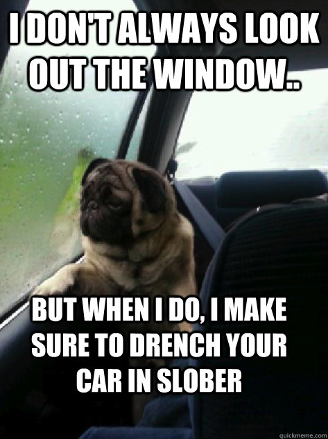 I don't always look out the window.. but when I do, I make sure to drench your  car in slober  Introspective Pug