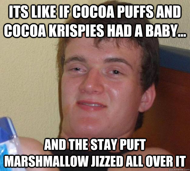 its like if cocoa puffs and cocoa krispies had a baby... and the Stay Puft marshmallow jizzed all over it   10 Guy