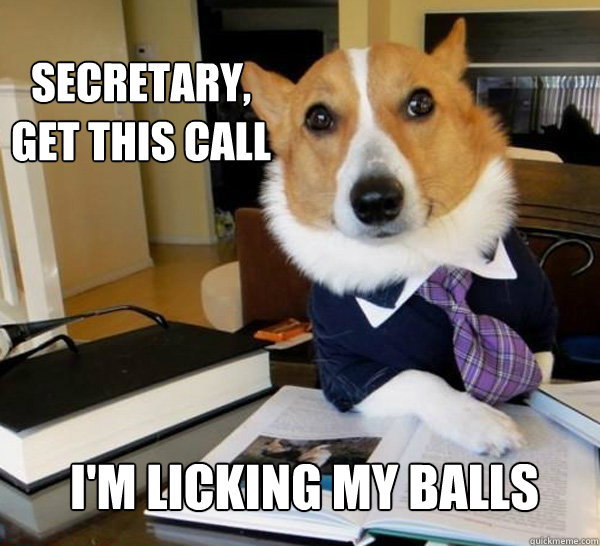 Secretary, get this call
 I'm licking my balls  Lawyer Dog