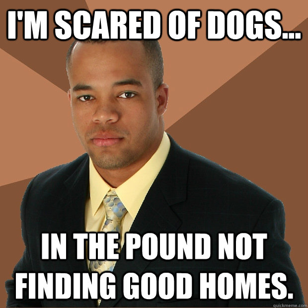 I'm scared of dogs... In the pound not finding good homes.  Successful Black Man