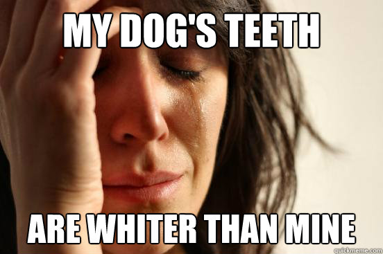 my dog's teeth Are whiter than mine  First World Problems