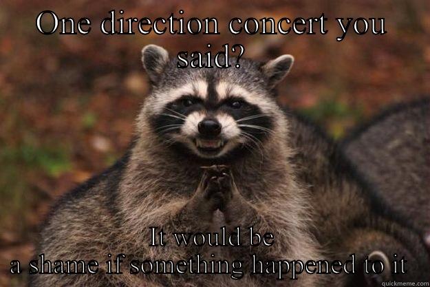 ONE DIRECTION CONCERT YOU SAID? IT WOULD BE A SHAME IF SOMETHING HAPPENED TO IT  Evil Plotting Raccoon