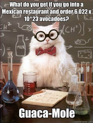 What do you get if you go into a Mexican restaurant and order 6.022 x 10^23 avocadoes? Guaca-Mole - What do you get if you go into a Mexican restaurant and order 6.022 x 10^23 avocadoes? Guaca-Mole  Chemistry Cat