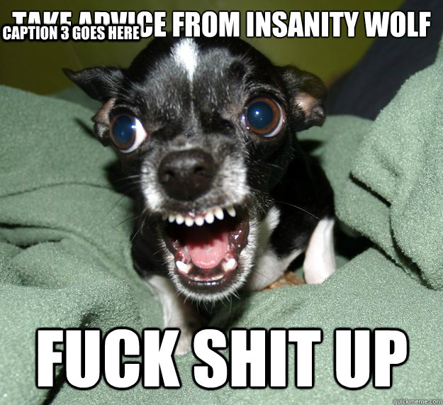 TAKE ADVICE FROM INSANITY WOLF FUCK SHIT UP Caption 3 goes here - TAKE ADVICE FROM INSANITY WOLF FUCK SHIT UP Caption 3 goes here  Chihuahua Logic