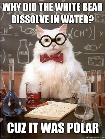 Why did the white bear Dissolve in water? cuz it was polar   Chemistry Cat