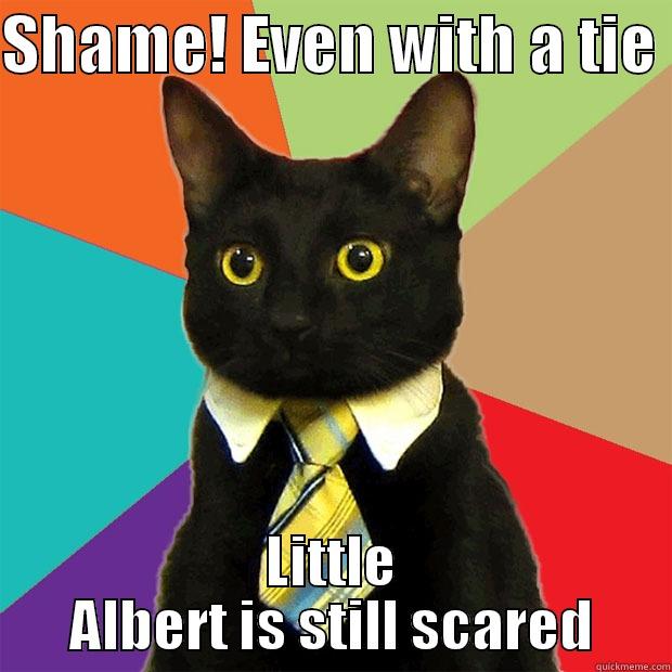 Little Albert - SHAME! EVEN WITH A TIE  LITTLE ALBERT IS STILL SCARED Business Cat