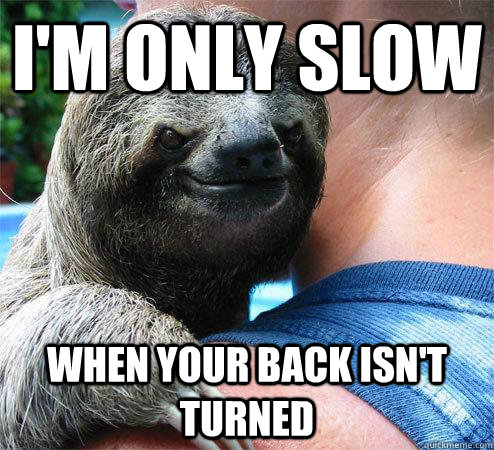 I'm only slow when your back isn't turned  Suspiciously Evil Sloth