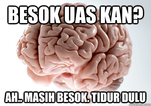 Besok uas kan? ah.. masih besok. Tidur dulu  Scumbag Brain