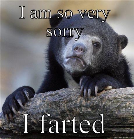 I AM SO VERY SORRY I FARTED Confession Bear