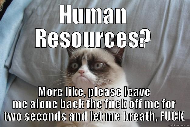 HUMAN RESOURCES? MORE LIKE, PLEASE LEAVE ME ALONE BACK THE FUCK OFF ME FOR TWO SECONDS AND LET ME BREATH, FUCK Grumpy Cat