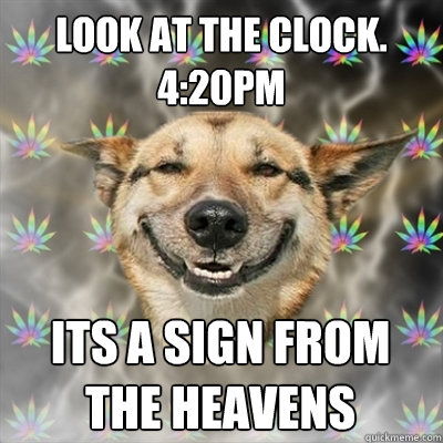 Look at the clock. 4:20PM its a sign from 
the heavens  Stoner Dog