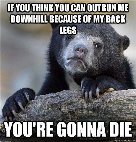 If you think you can outrun me downhill because of my back legs you're gonna die  Confession Bear