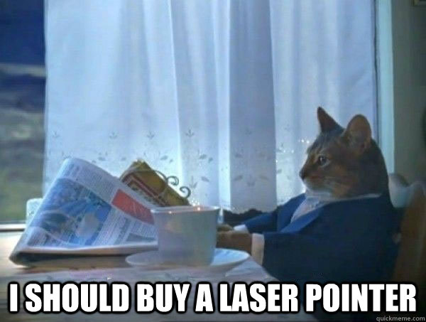  I should buy a laser pointer  morning realization newspaper cat meme