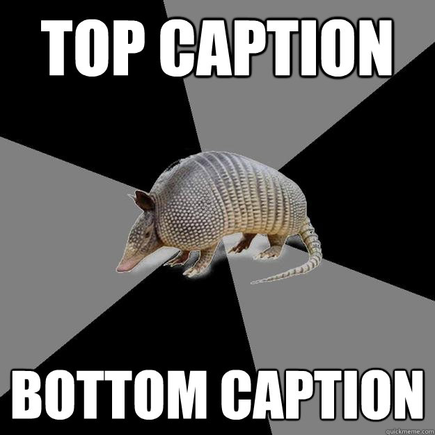 Top caption Bottom caption  English Major Armadillo