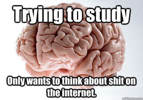 Trying to study Only wants to think about shit on the internet.   Scumbag Brain