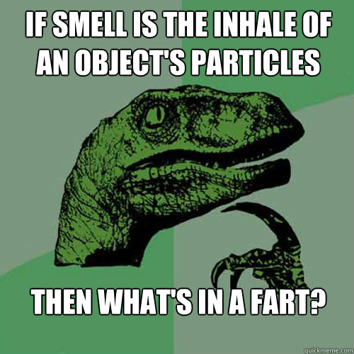 If smell is the inhale of an object's particles Then what's in a fart?  Philosoraptor